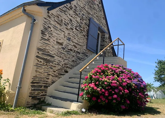 De La Bourreliere, Meuble De Tourisme 3 Etoiles Le Louroux-Béconnais